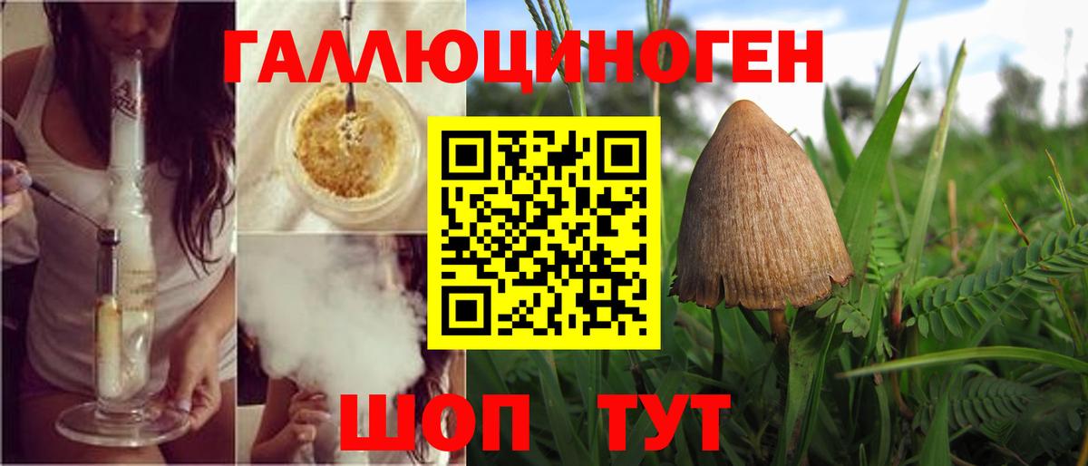 Псилоцибиновые грибы Cubensis Сатка