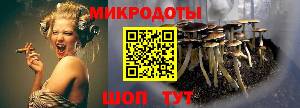 Галлюциногенные грибы Magic Shrooms  Вход с VPN  Сатка 